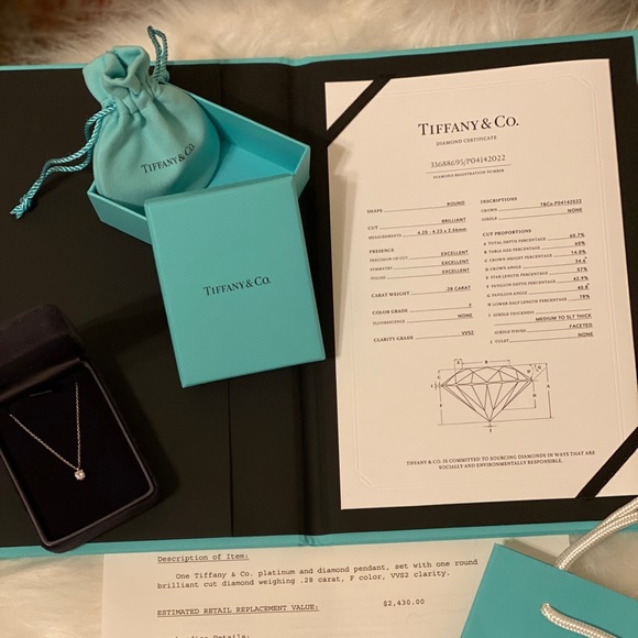 Tiffany & Co. Jewelry - Tiffany & Co. Platinum and Diamond Pendant